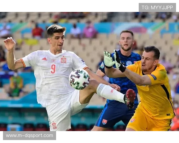 西甲球员税务自查计划启动，百名球员参与合规培训